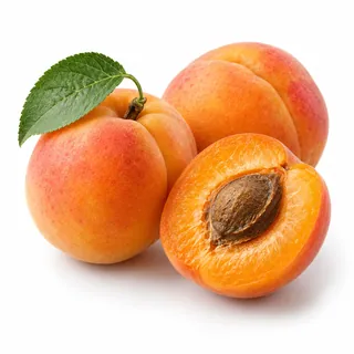 Abricots – مشمش