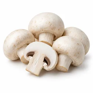Champignons blancs – فطر