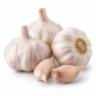 Ail – ثوم