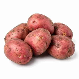 Pommes de terre rouges – بطاطا حمراء