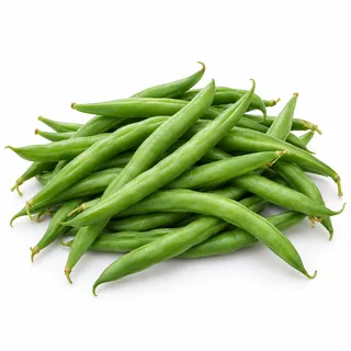 Haricots verts – لوبيا خضراء
