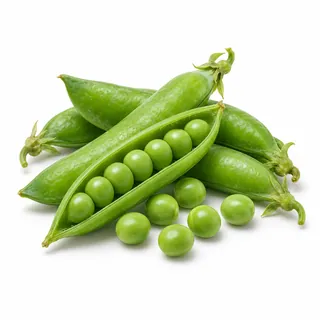 Petits pois – جلبانة
