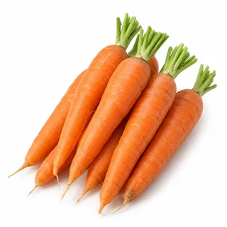 Carottes – جزر
