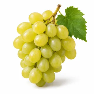 Raisin Muscat – عنب مسكي