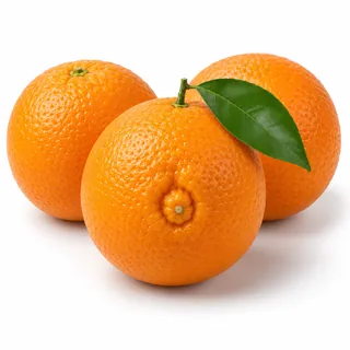 Orange Thomson Naveline – برتقال طومسون