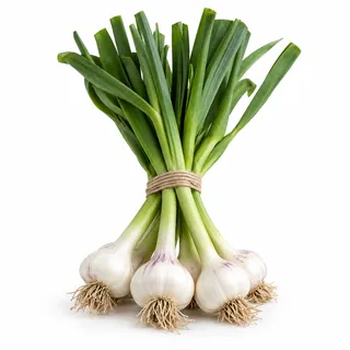 Ail vert – ثوم أخضر