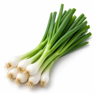 Oignons verts – بصل أخضر