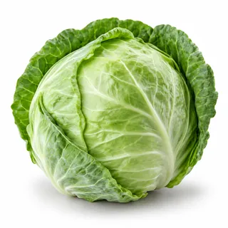 Chou vert – كرنب
