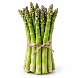Asperges vertes – هليون