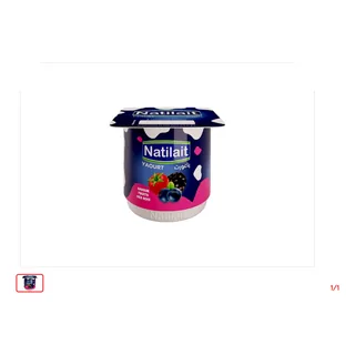 Yaourt aromatisé fruits des bois NATILAIT 100 g