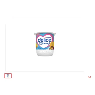 Spécialité laitière brassée Fruit tropicaux DELICE 100 g