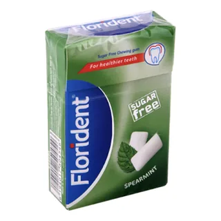 Chewing-gum Chlorophyle FLORIDENT 23 g