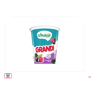 Yaourt à boire Fruits des bois VITALAIT 330 g