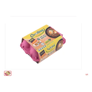 Œufs frais Jaune orange OVOLINA 6 Pièces