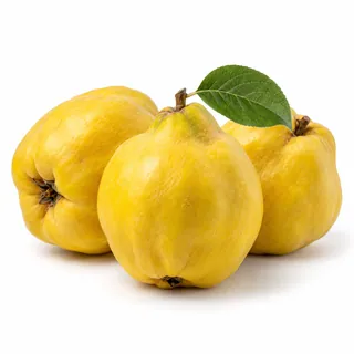 Coings – سفرجل