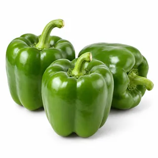 Poivrons verts – فلفل أخضر حلو