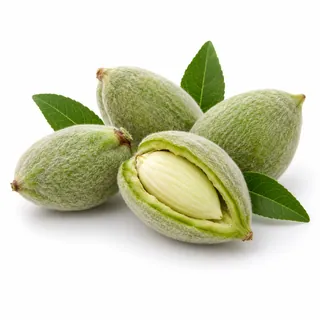 Amandes vertes – لوز أخضر