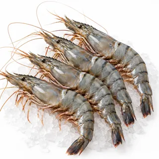 Gambas