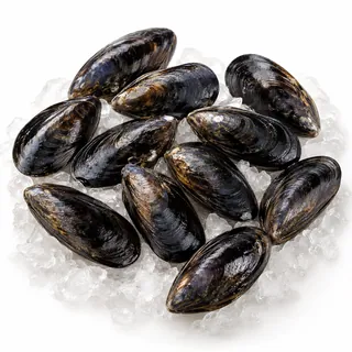 Moules