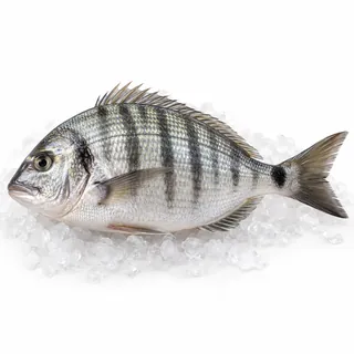 Sar