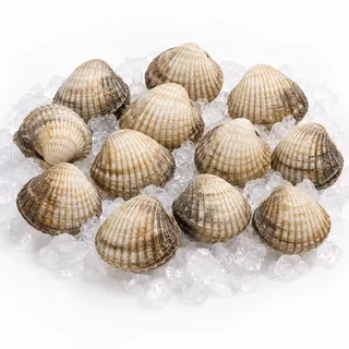 Coques