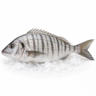 Marbré