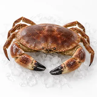 Crabe