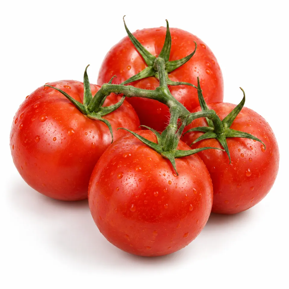 Tomates fraîches – طماطم