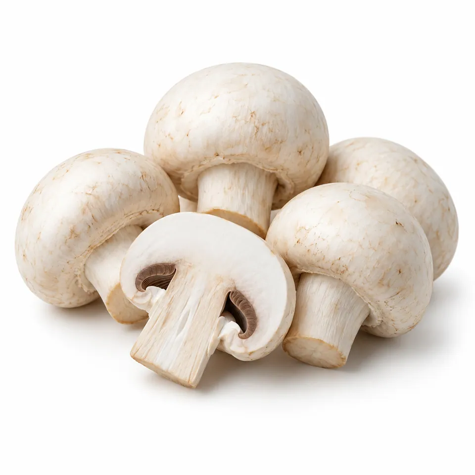 Champignons blancs – فطر