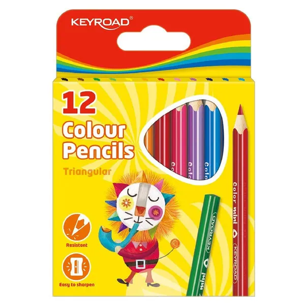 قلم رصاص ملون 12*9