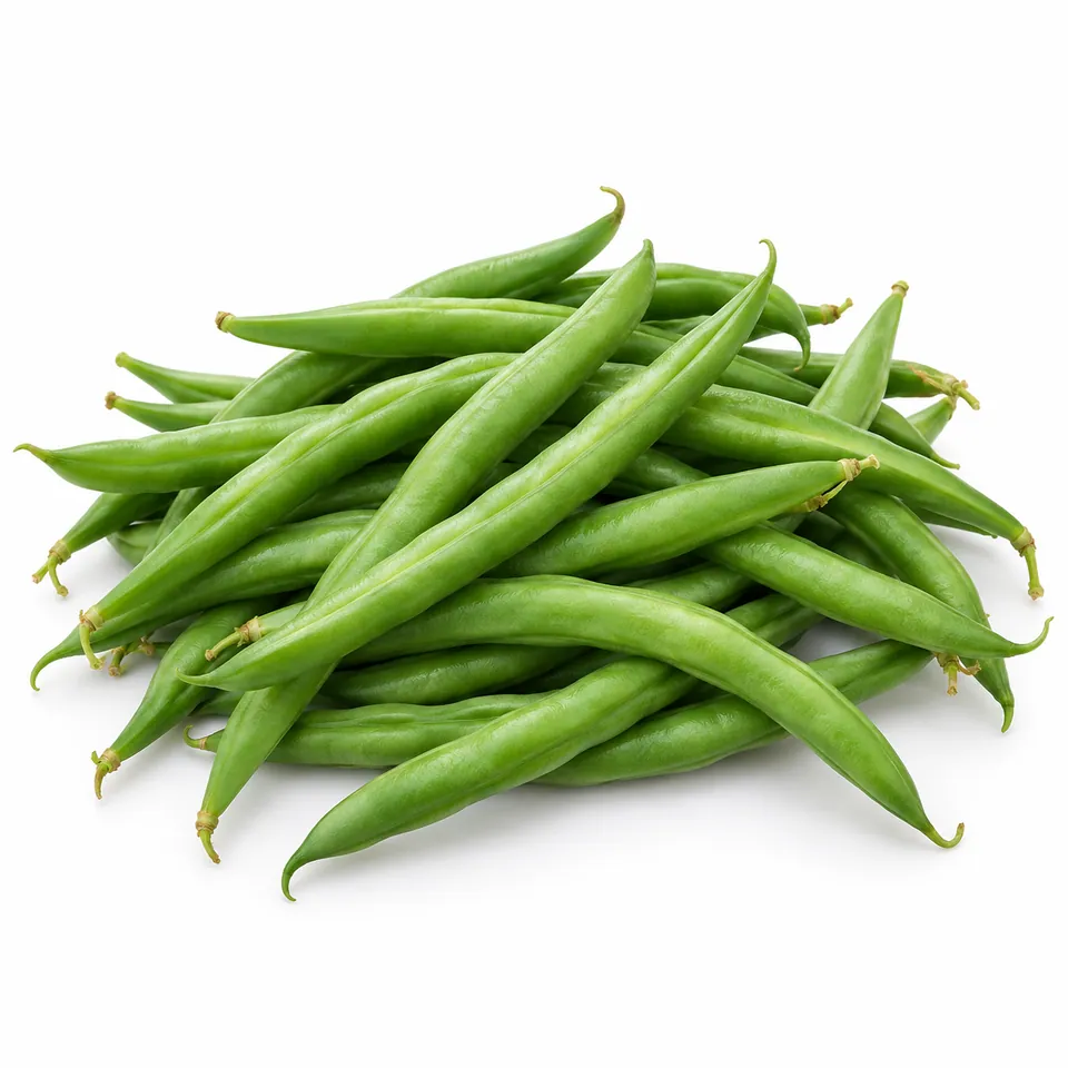 Haricots verts – لوبيا خضراء