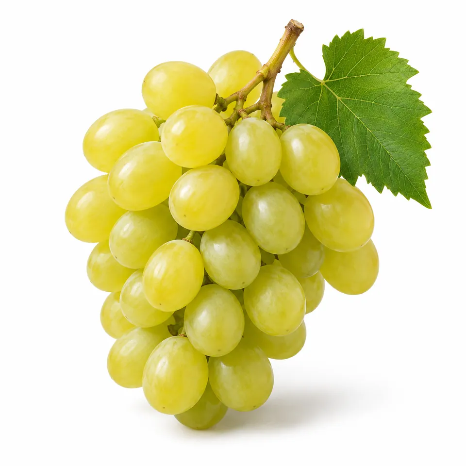 Raisin Muscat – عنب مسكي