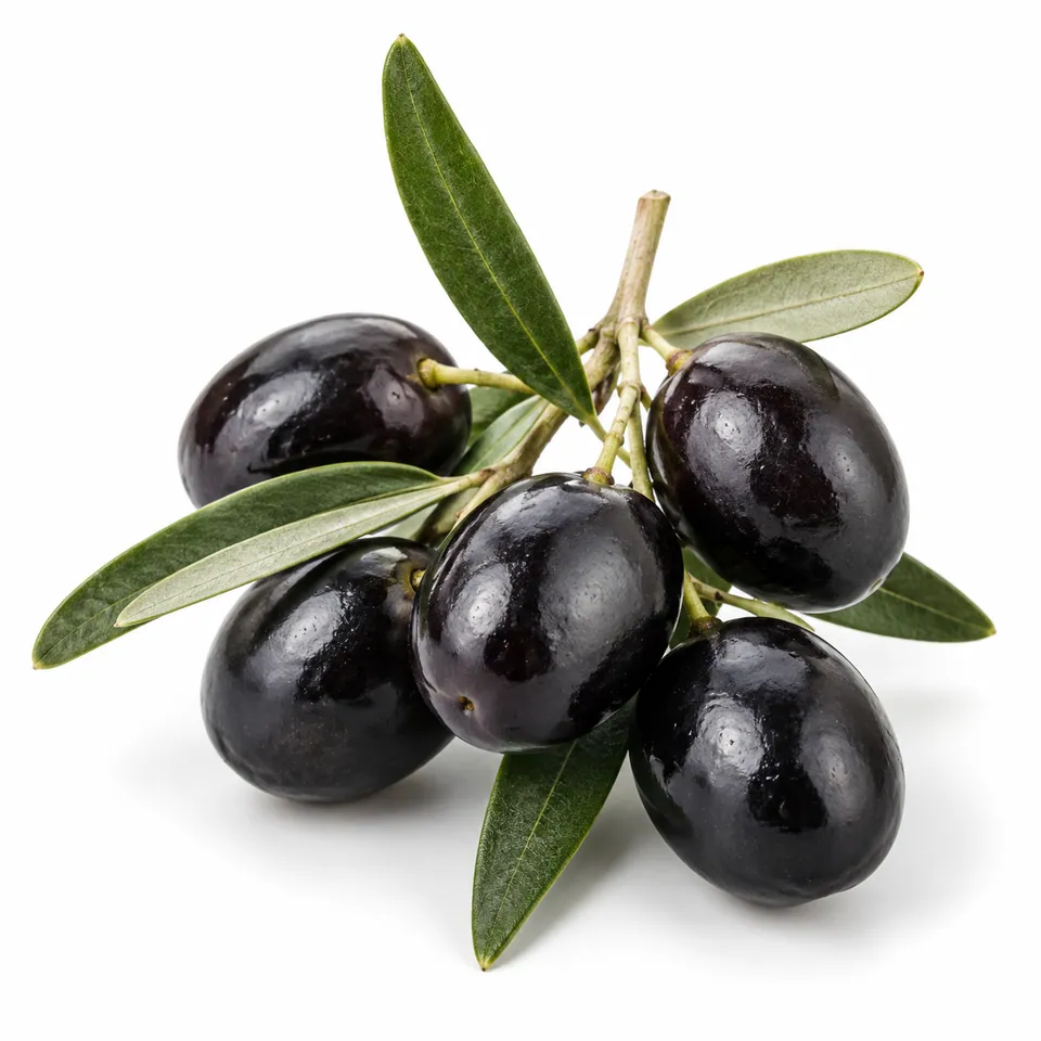 Olives noires fraîches – زيتون أسود