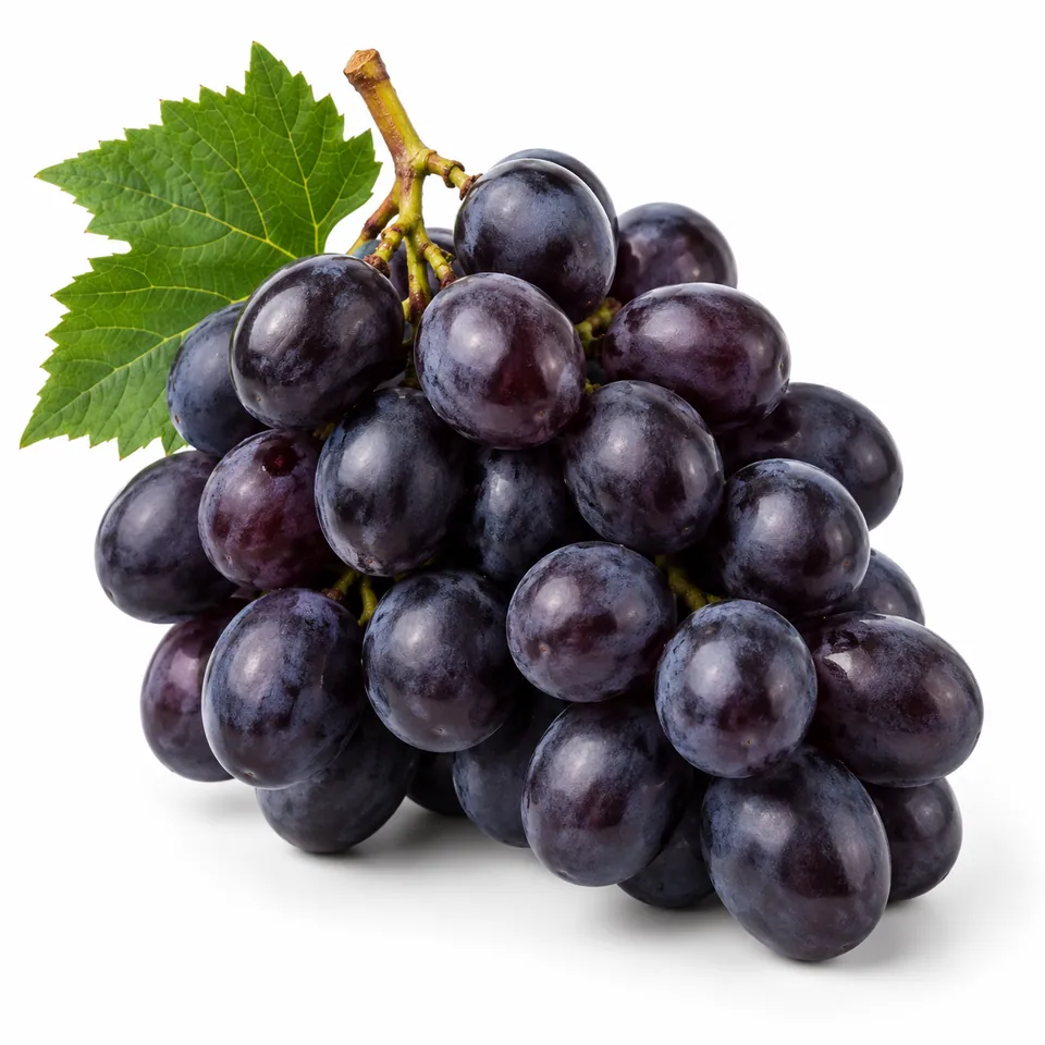 Raisins noirs – عنب أسود