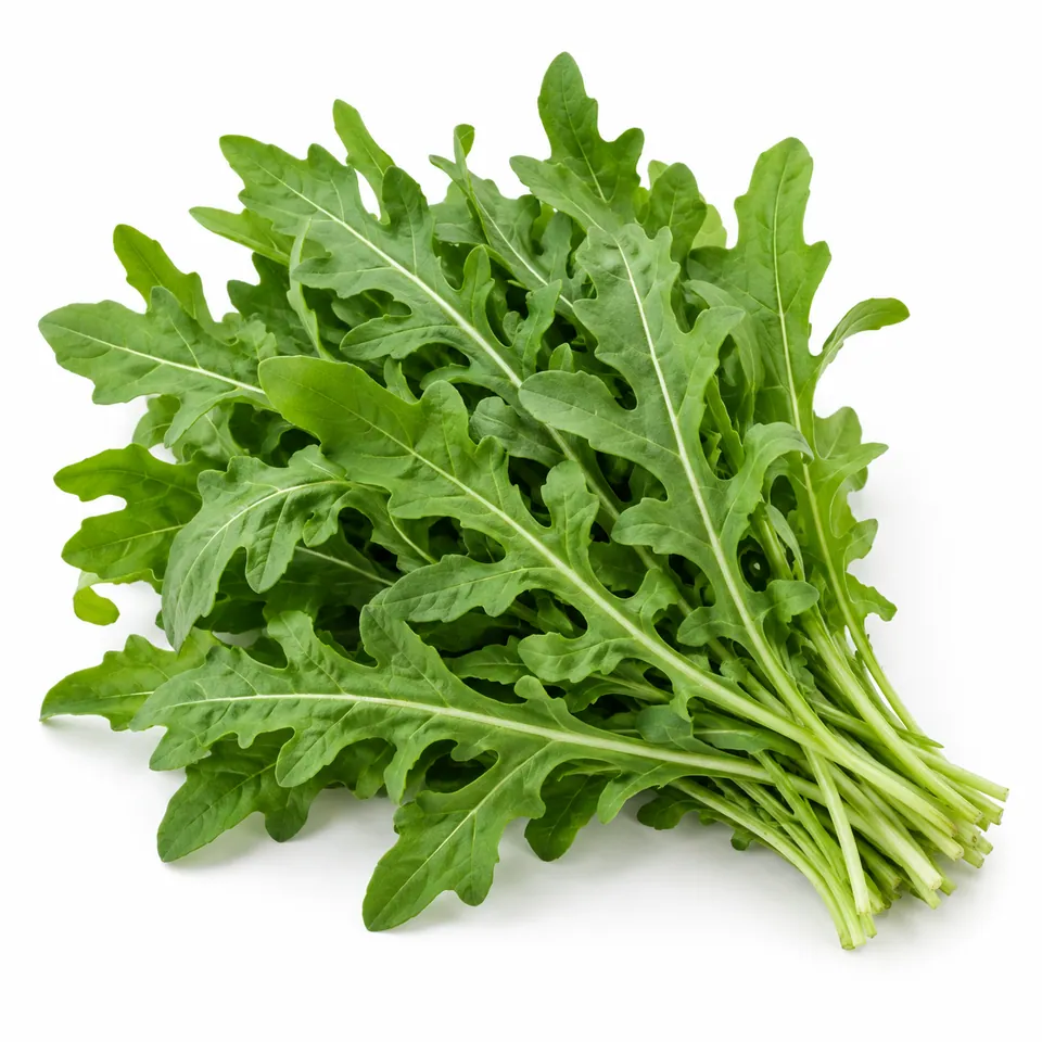 Roquette – جرجير