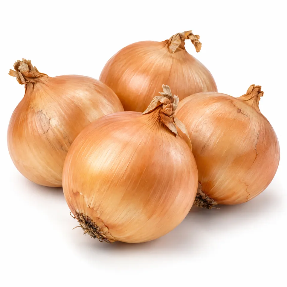 Oignons – بصل