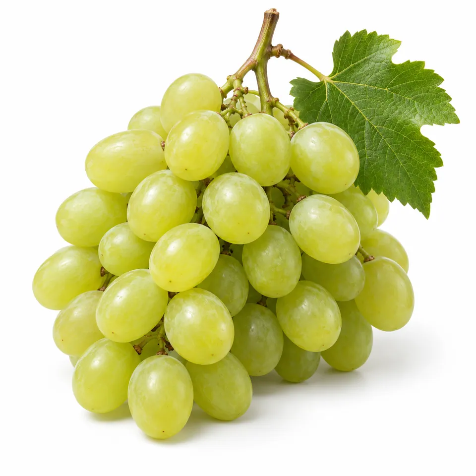 Raisins blancs – عنب أبيض