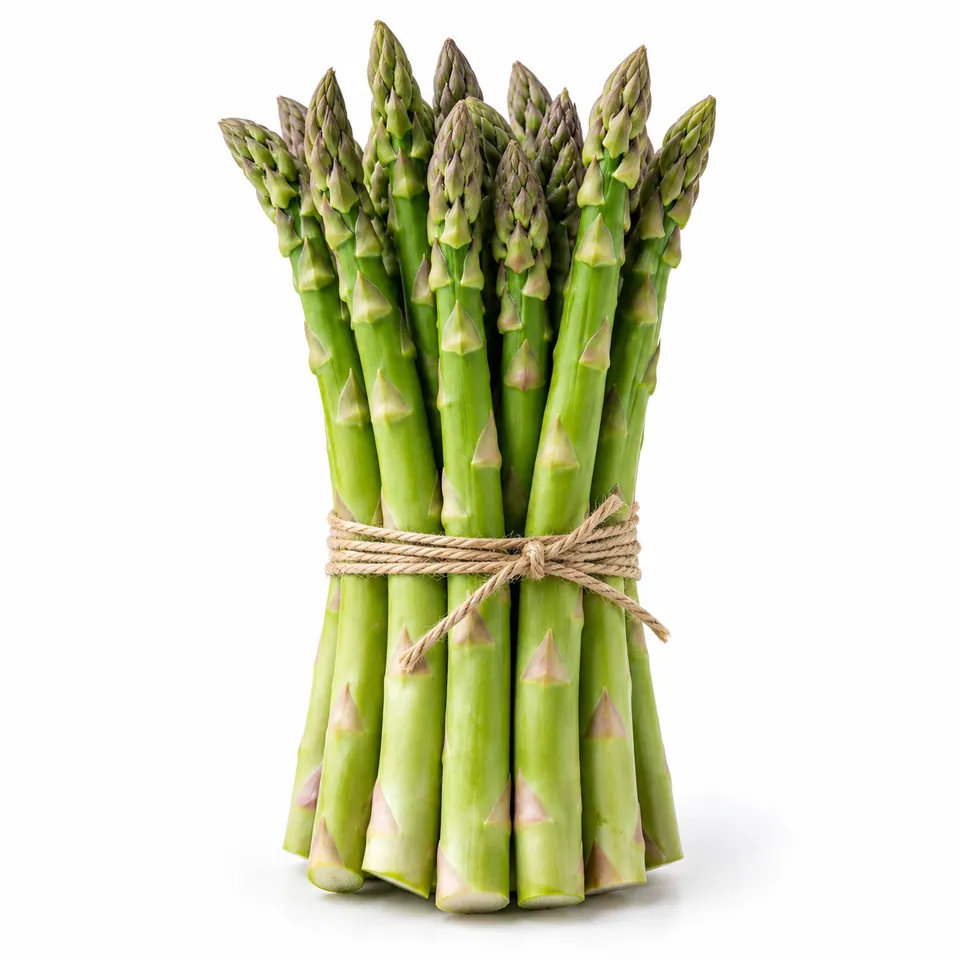 Asperges vertes – هليون