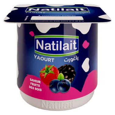 Yaourt aromatisé fruits des bois NATILAIT 100 g
