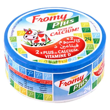 Fromage fondu FROMY PLUS 24 Portions