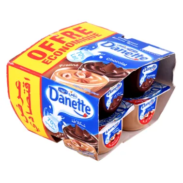 Crème dessert chocolat praliné DANETTE 8*100 g