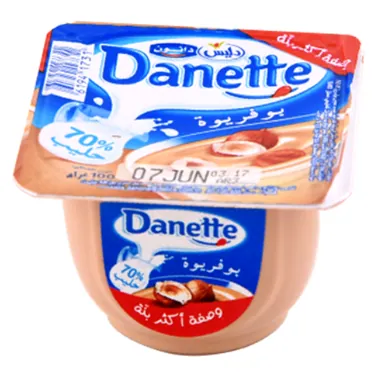 Crème dessert praliné DANETTE 100 g