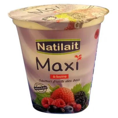 Spécialité laitière Fruits de bois NATILAIT Maxi-330 g