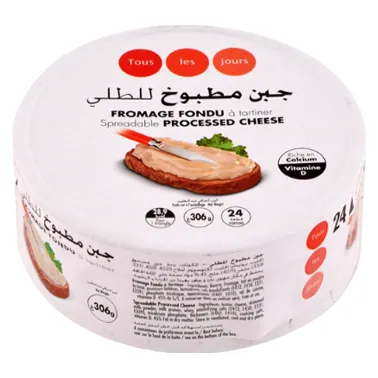 Fromage fondu TOUS LES JOURS 24 portions