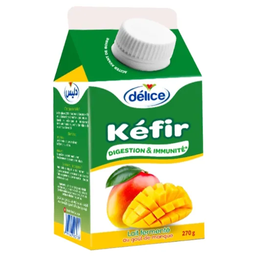 Kéfir Mangue DELICE 270 g