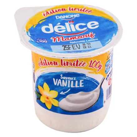 Spécialité laitière brassée vanille DELICE 100 g