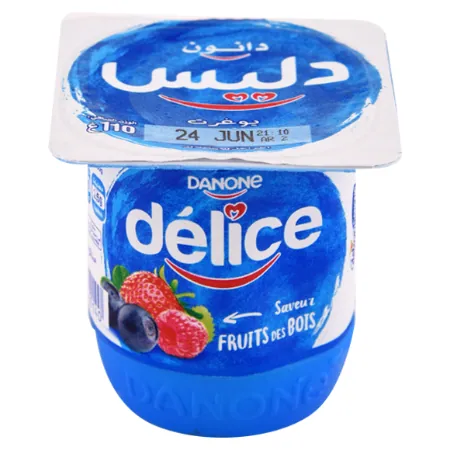 Yaourt aromatisé Fruits des bois DELICE DANONE 110 g