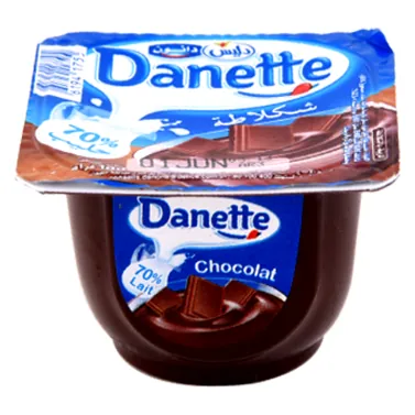 Crème dessert chocolat DANETTE 100 g