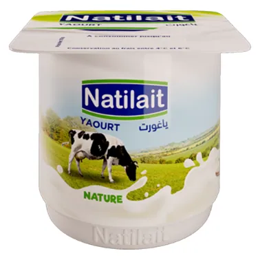Yaourt nature NATILAIT 110 g