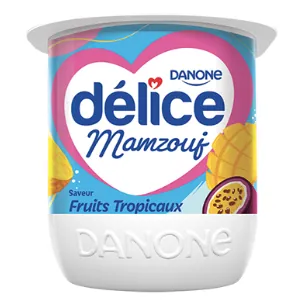 Spécialité laitière brassée Fruit tropicaux DELICE 100 g